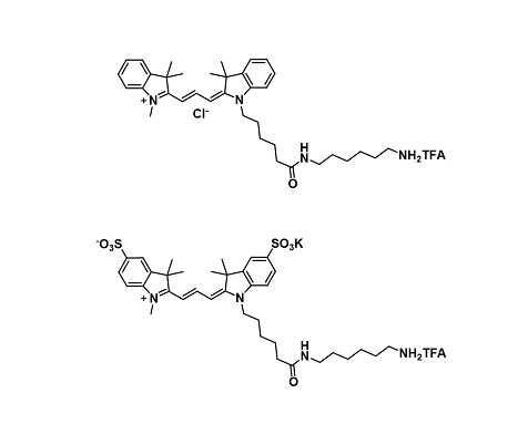 Cyanine amine